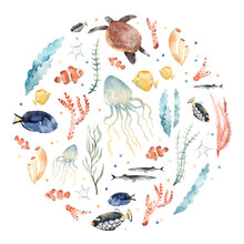 Watercolor Hand Drawn Circle Composition, Colorful Illustration Of Sea Underwater Plants, Jellyfish, Fish, Seaweeds, Ocean Coral Reef. Aquarium. Wildlife Marine Elements Isolated On White Background.