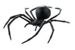 © kaiskynet - Fake rubber spider toy isolated over a white background. black spider toy isolated on a transparent background. Comic horror for Halloween.