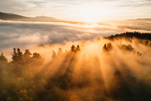 Foggy Forest With Sun Rays. Top View From Drone Of Mountain Valley In Low Clouds. Aerial View Of Mountain Peak With Green Trees In Fog