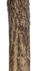 Aufkleber - Trunk of a Tree Isolated On White Background