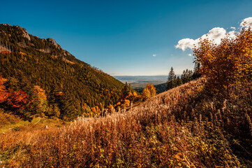 High Tatras with colorful autumn trees. Hiking from zelene lake to cottage plesnivec near Belianske Tatry mountain  Slovakia.