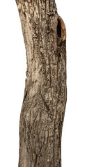 Aufkleber - Trunk of a Tree Isolated On White Background