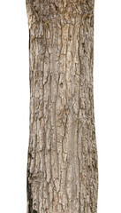 Aufkleber - Trunk of a Tree Isolated On White Background