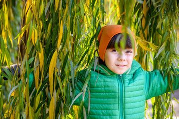 Wall Mural - A boy is playing in the branches of a weeping willow. The coming