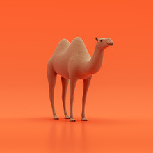 Bactrian Camel Doll, Stuffed Animal Made Of Fabric Single Animal From Angle View, Brown Monochrome Animal In An Orange Studio, 3d Rendering