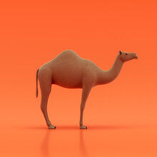 Camel Doll, Stuffed Animal Made Of Fabric Single Animal From Side View, Profile, Brown Monochrome Animal In An Orange Studio, 3d Rendering