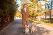 © Valeriia - beautiful woman walks with two corgi dogs in park in fall. Happy, smiling, portrait.