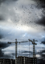Flock Of Birds Flying Over An Construction Site On An Overcast Day, Ukraine