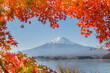 © RooM The Agency - View of Mt Fuji through red autumnal maple leaves, Yamanashi prefecture, Honshu, Japan