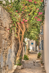Fototapete - Hammamet, Tunisia, HDR Image