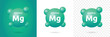 Mg - magnesium icon set. Mineral nutrition symbol vector illustration.