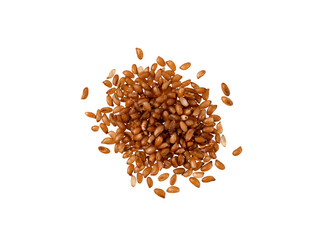 Perfect heap of Brown Teff grain isolated on white with clipping path, no shadows. Super macro shot of brown teff seeeds heap. Teff is gluten-free cereal grain from Ethiopia and Eritrea in Africa