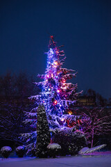 christmas tree in the snow town by night