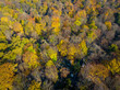 © Curioso.Photography - Kraków Aerial View. Rakowicki Cemetery at Autumn time. Kraków is a the capital of the Lesser Poland Voivodeship. Poland. Europe.