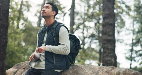 Poster - Hiking, water and adventure with a man drinking from a bottle in the forest or woods in nature. Fitness, exercise and hike with a male athlete hiking amongst the trees for a hobby or recreation