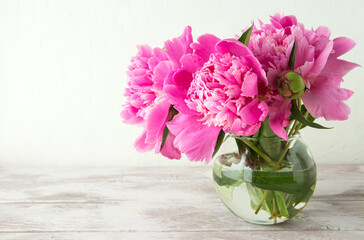 Wall Mural - three pink peonies in a round vase on a light background