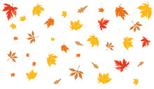 Falling Autumn Leaves Overlay. Maple And Oak Leaves  Realistic Illustration Isolated On Transparent Background. Design Element, Banner, Cover For Cards, Posters, Invitations, Social Media. PNG.