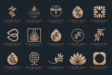Creative Leaf And Olive Oil Logo Design Icon Set.
