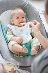 Wall Mural - Mother spoon feeding her baby boy infant child in baby chair with fruit puree. Baby solid food introduction concept.