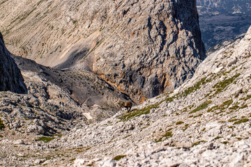 Alpine ibex picture taken in Julian alps, Slovenia	