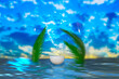 3d render scene with palm trees platform blue color