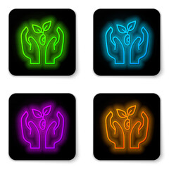 Poster - Glowing neon line Plant in hand of environmental protection icon isolated on white background. Seed and seedling. Planting sapling. Ecology concept. Black square button. Vector