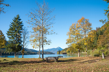 Wall Mural - recreational place at lake shore Walchensee in autumn, Jachenau, with picnic place