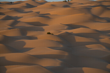  Views of the desert, Douz region, southern Tunisia
