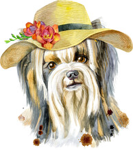Watercolor Portrait Of Yorkshire Terrier Breed Dog With Summer Hat.