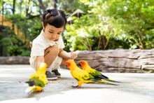 Portrait of an asian little girl feeding birds on hands in the park.