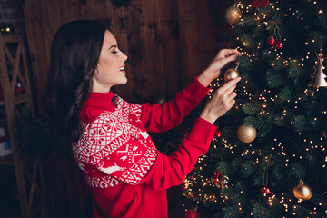 Poster - Profile photo of attractive peaceful girl enjoy hanging toys xmas tree spirit time house indoors