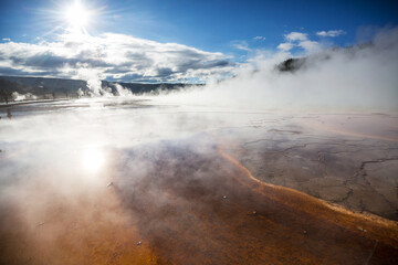 Wall Mural - Yellowstone