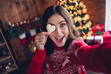 Poster - Photo of attractive positive lady take selfie hand hold heart shape cookie cover eye enjoy christmastime house indoors