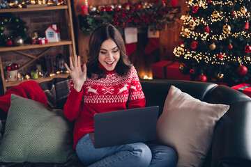 Poster - Photo of excited cheerful person sit sofa hand waving speak video call christmastime atmosphere indoors