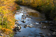 Miller brook in the fall, Stowe, Vermont, USA