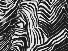 Vector Zebra Skin Design Background, Black And White Striped Print,