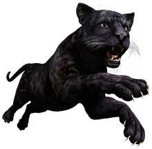 Black Panther Pouncing 3D Illustration	