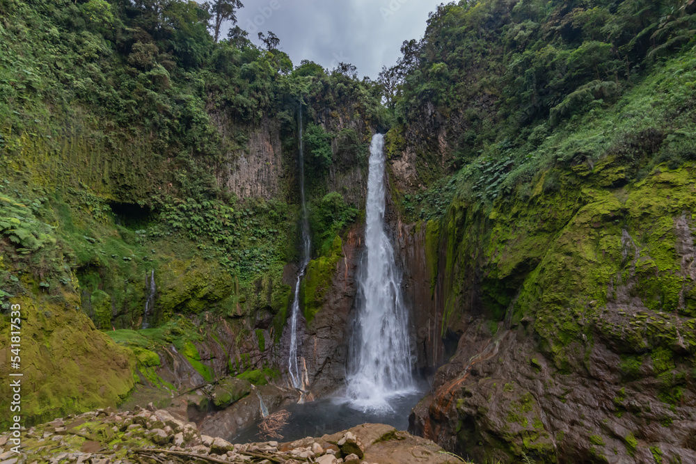 waterfall in the forest Stock Photo | Adobe Stock