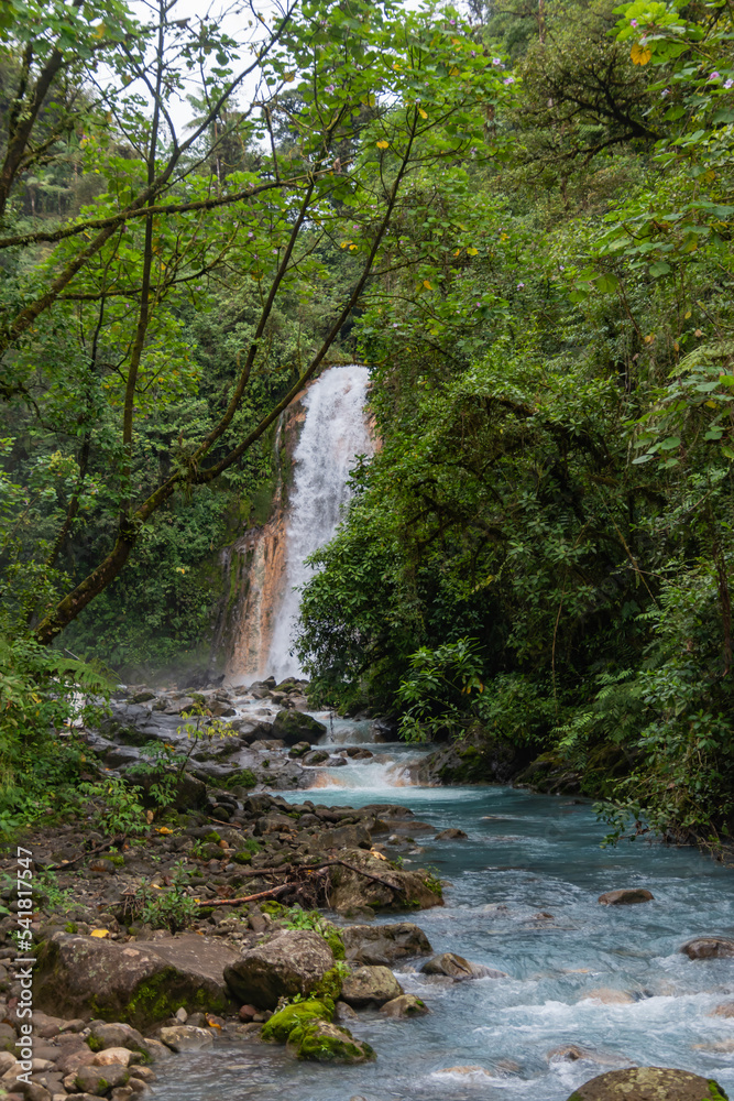 waterfall in the forest Stock Photo | Adobe Stock