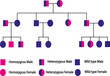 Graphique de pédigrée récessif autosomique simple, parents hétérozygotes, situé sur un autosome (chromosome non sexuel)
