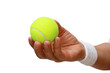 Gesture series. Hand holding tennis ball.