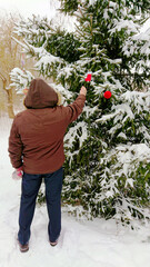 Wall Mural - Man adorns Christmas tree in forest