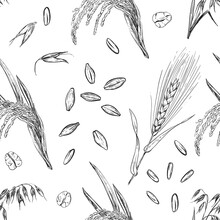 Detailed Hand Drawn Black And White Illustration Seamless Pattern Of Oat Ear, Wheat, Leaf, Grain, Agriculture. Sketch. Vector. Elements In Graphic Style Label, Card, Sticker, Menu, Package.