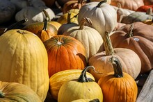 Wagon With A Wide Selection Of Colorful Pumpkins And Gourds On Sale Outside For Halloween