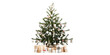 christmas tree with gift boxes set isolate on white background. 3D Rendering.	