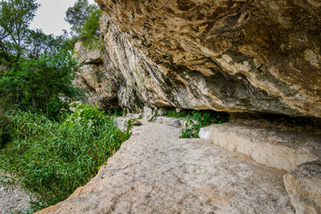 Wall Mural - Hiking path near the cliff in a gorge near the medieval village of Minerve in the South of France (Herault)