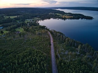 Poster - Road surrounded by a dense forest and a sea in the distance