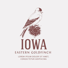 Vintage Bird Logo. Iowa State Bird. Eastern Goldfinch