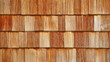 Neu errichtete Fassade aus traditionellen Holz Schindeln am Bodensee, Deutschland