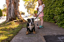 Girl Holding A Scooter With Her Pet Dog On A Leash On The Sidewalk With A Big Tree